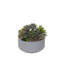 Faux Succulent-850935514