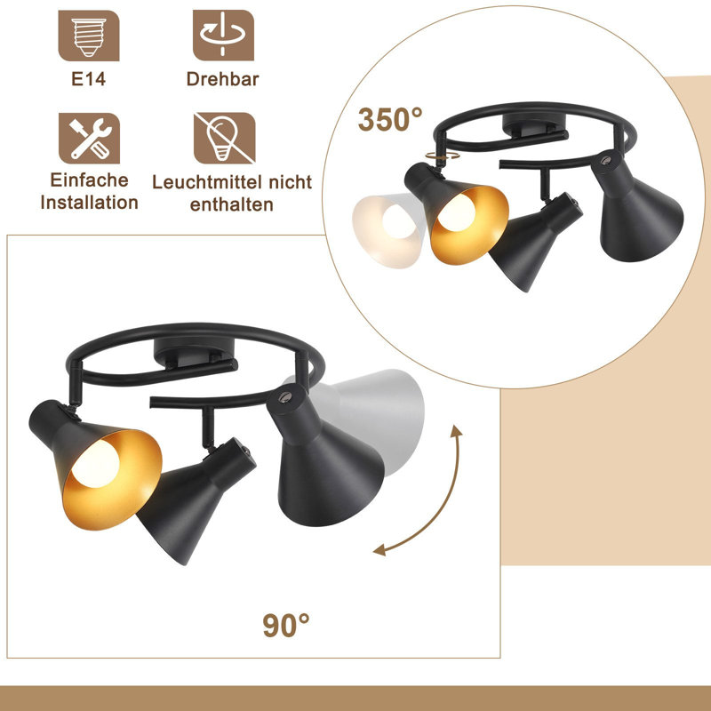 Iron Spotlight