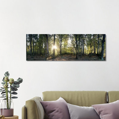 Trees In A ForestBlack Forest, Freiburg Im Breisgau, Baden-Wurttemberg, Germany by Panoramic Images - Panoramic Gallery-Wrapped Canvas Giclée on Canvas