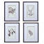 Botanical Quartet Prints: Home Decor Accents