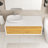 Sheon 48'' Single Bathroom Vanity with Solid Surface Top