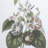 Botanical - Picture Frame Print Set