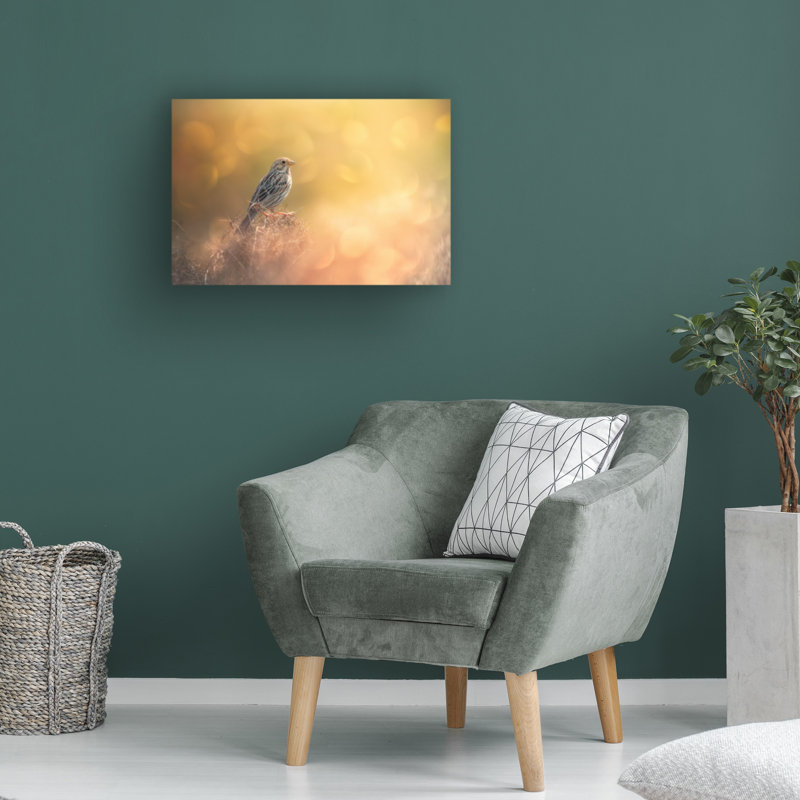 Art sur toile Sina Pezeshki, H 16 po x l 24 po