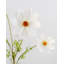 Real Touch White Cosmos 29 po-904251297