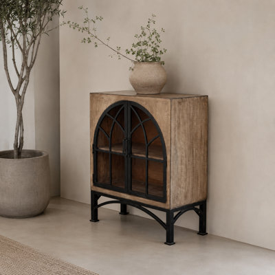 Victoria Dracaea 2 Door Cabinet