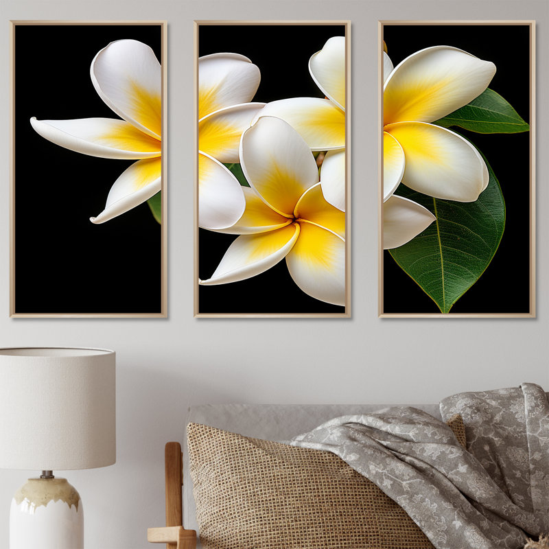 Rêve de rêve Plumerias pureté - ensemble d'art sur toile Plumeria, Cadre naturel flottant, H 28 po x l 36 po x P 1 po