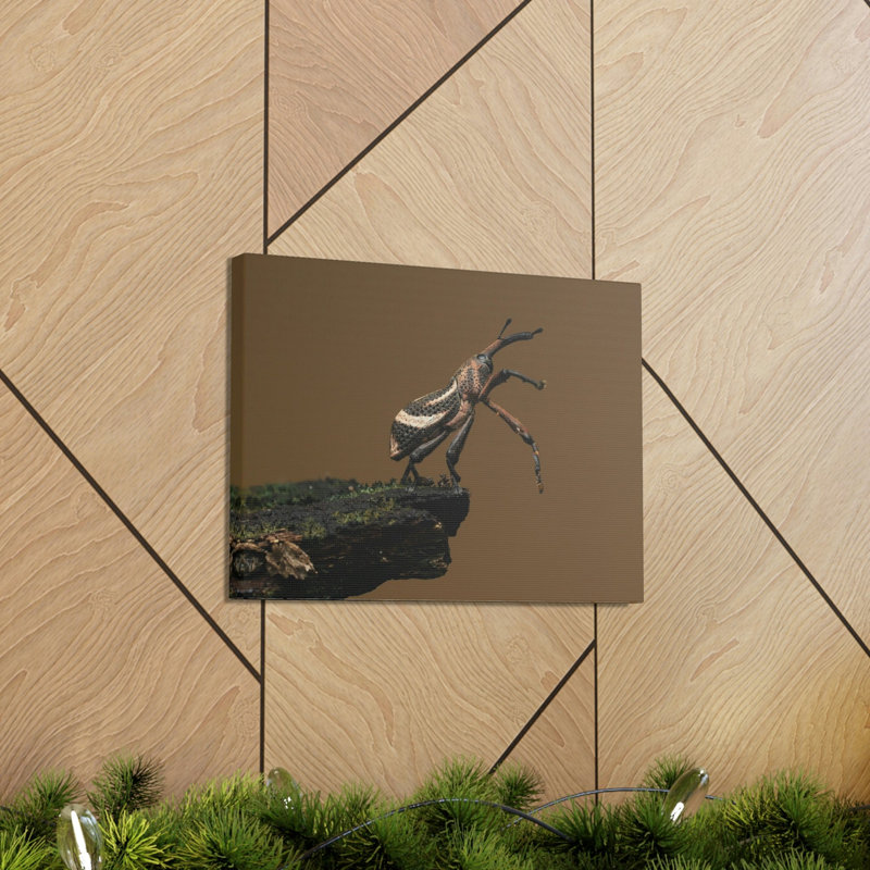 Funny Weevil Silly Weevil Scene Outside Wall Art, 12" H x 18" W