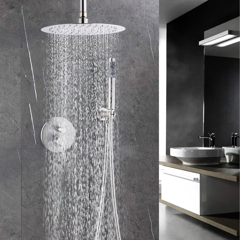 Robinet de douche avec tête de 10 pouces et système de nickel mobile brossé classique