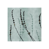Cinereal Growth I Print by Sofia Fox