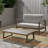 BELGIAN LOVESEAT & COFFEE TABLE
