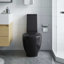 Winebrenner One-Piece Toilet
