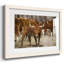 Longhorns-162033357-162033396