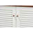 Shoe Storage Cabinet-251843216