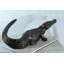 Statue d'alligator en aluminium avec queue surélevée et peau texturée Nifao - Sculpture réaliste pour le jardin, le patio et l'intérieur 36 "x 15" x H 13 "