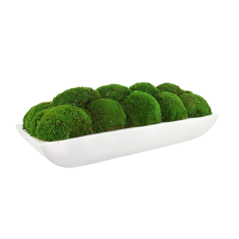 Moss Preserved in Oblong Planter, 7" H x 19.5" W x 10.5" D