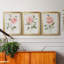 Grandiflora I - Ensemble de 3 reproductions d'art-1808341225-1807908246