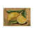 Gallery Wrapped Canvas sélectionné