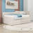 Upholstered Daybed with Trundle and Drawers-60993263-60993261