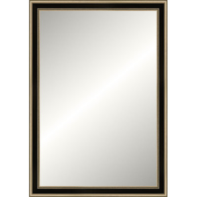 Antique Silver Old World Mirror