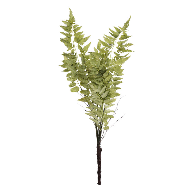 Fern Arrangement