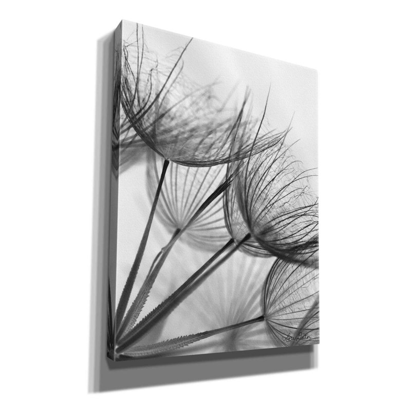 «Goatsbeard II» par Lori Deiter, art mural sur toile, H 16 po x l 12 po x P 0,75 po