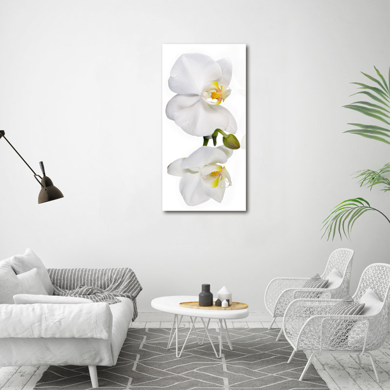 White Orchid - Wrapped Canvas Print