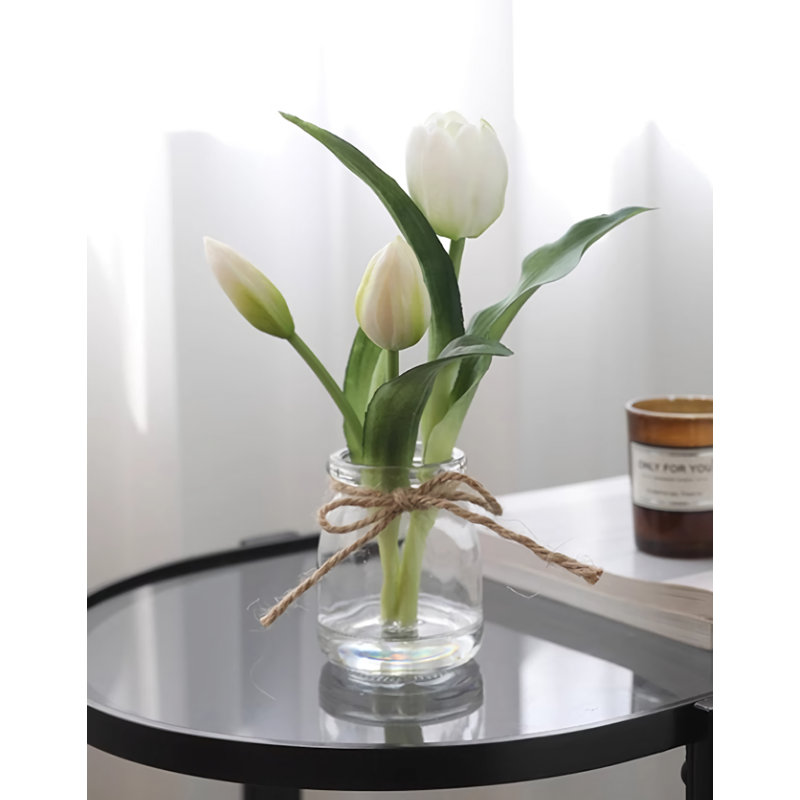 Sapin de 9,06 po, Blanc
