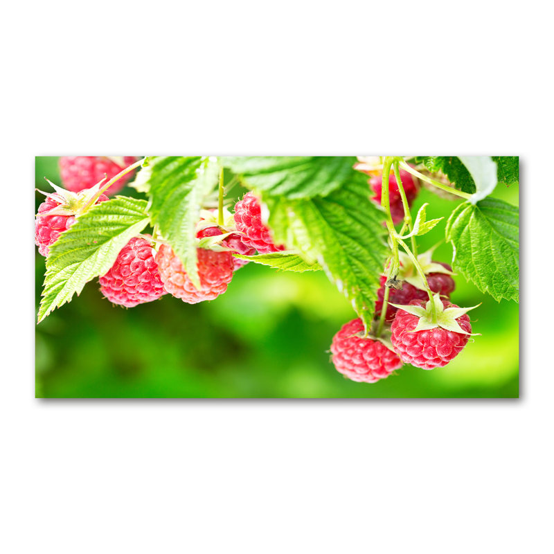 Raspberries in the Garden 1 Piece Wrapped Canvas Wall Art