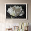 Pivoine blanche - Reproduction d'art sur toile encadrée-1176643706-1176643709