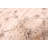 Tangier Beige Rug 5'0" x 8'0"