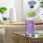 Bougie parfumée Signature Lilac Blossoms-70788735