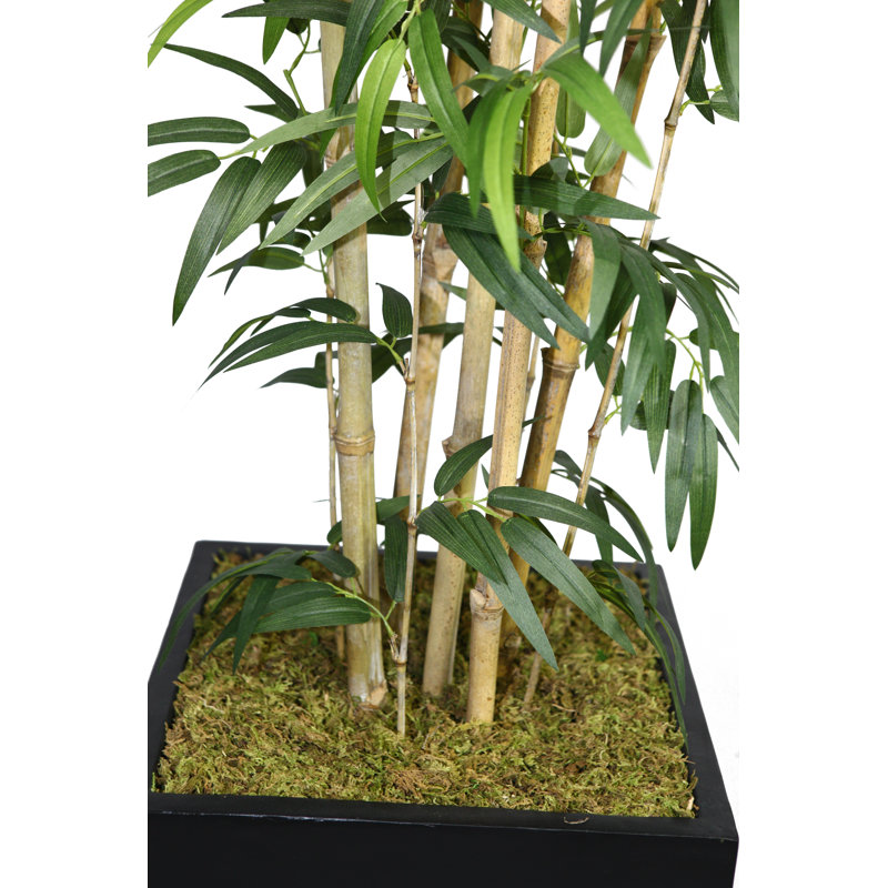 Bambou artificiel en pot 72 po Panama, Noir, Naturel