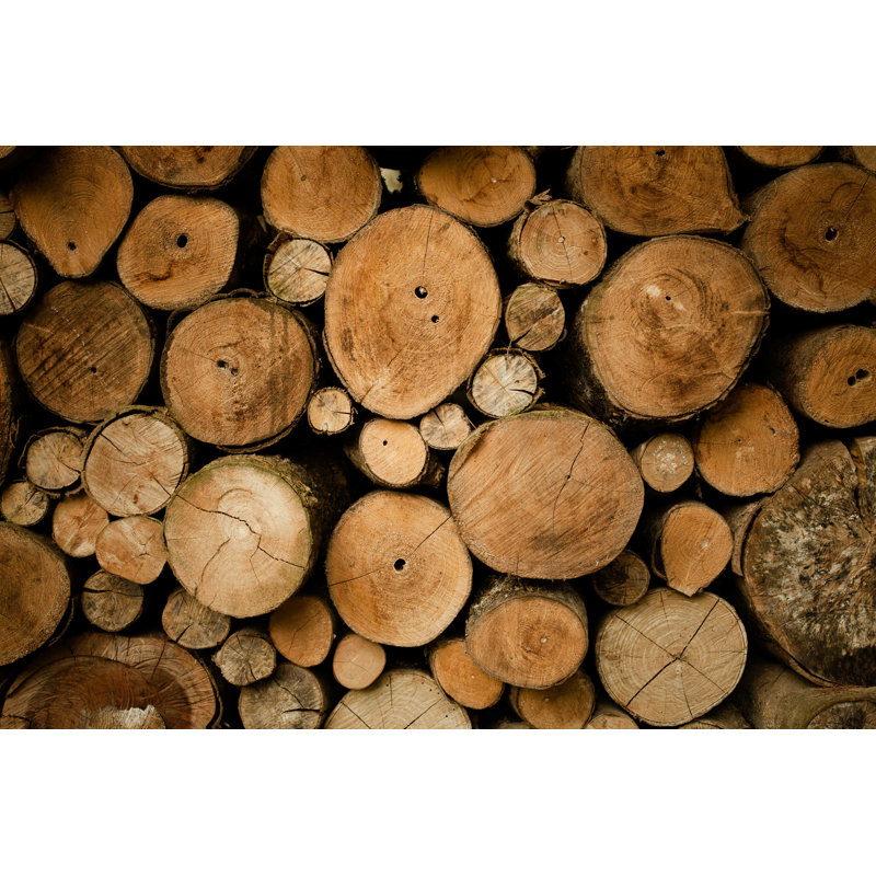 Wooden Woods Log par Swongpiriyaporn - Photographie de toile tendue, L 48 po x H 32 po