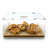 Acrylic Bread Box Acacia Base Display Case