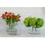 Vase transparent-1890800714