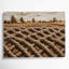 «Farm Rope», art mural sur toile beige-1746908439