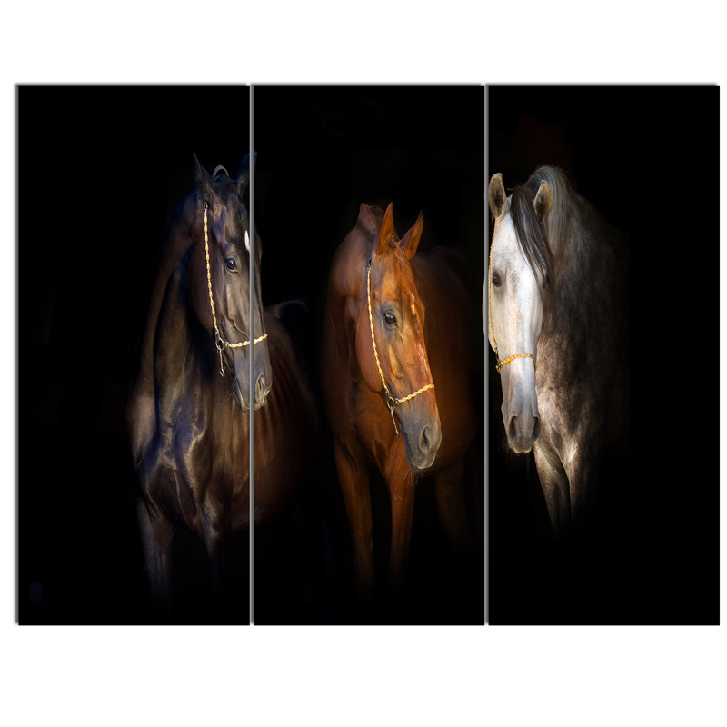 Three Horses With Golden Bridle - 3 Piece Wrapped Canvas Print