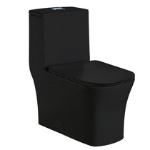 Buy Black Toilets Online at a low prize at