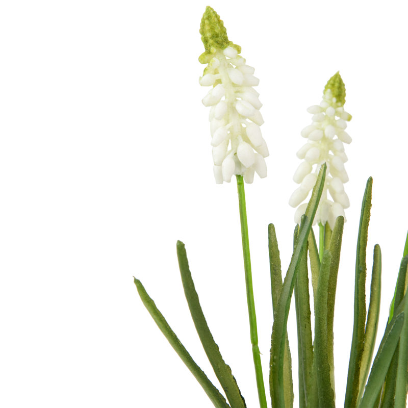 Lilas, Blanc