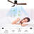 52 Inch Ceiling Fan With Light, 3 Solid Wood Blades,Remote Control,6-Speed Reversible DC Motor For Bed Room,Dining Room,Living Room.