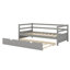 Daybed Set With Under-Bed Trundle Frame – Twin-Size-1145587541