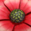 Décoration murale fleur-1358475082