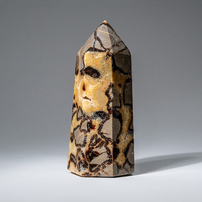 Genuine Polished Septarian Point from Madagascar (1.3 Lbs)