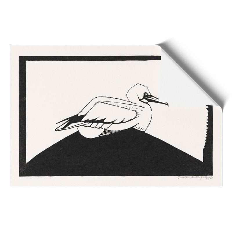 Northern Gannet by Samuel De Mesquita - No Frame Print, 42cm H x 59cm W x 0.1cm D