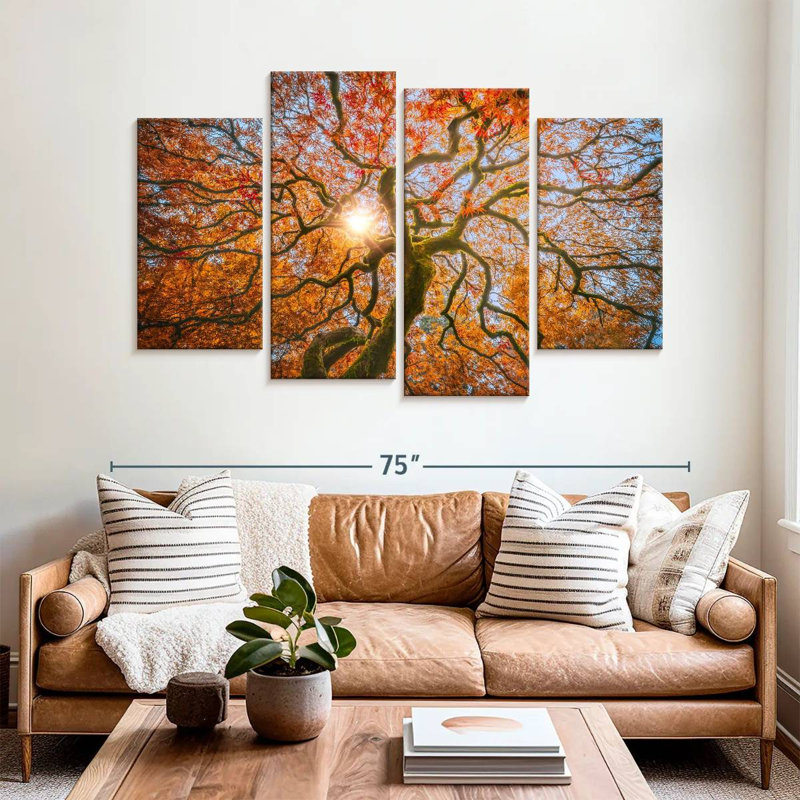 Japanese Maple Tree, 42" H x 68" W