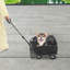 Poussette pliante pour animaux de compagnie, chariot pour chien-113142576