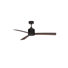 Ceiling Fan with LED Lights