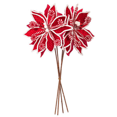 Poinsettia Arrangement