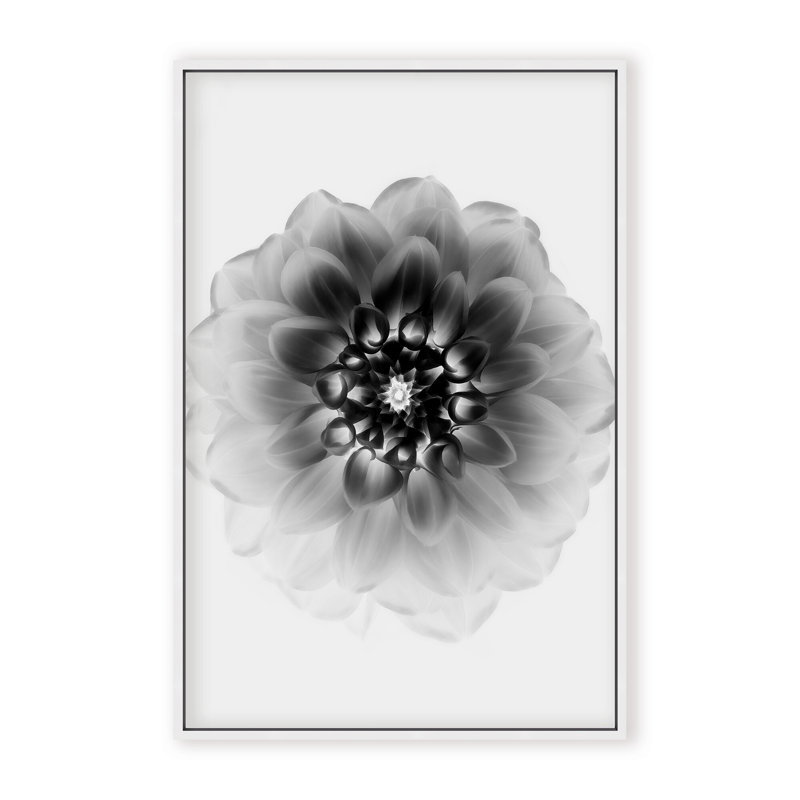 X-Ray Print by Alex Zhao, 24" H x 16" W x 1.125" D, Black, Framed Matted Print