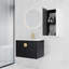 Meuble-lavabo 28 po avec lavabo en céramique et armoire d'appoint 28 po, châtaignier noir moderne, portes pour lavabo pratique, élément de composition moderne